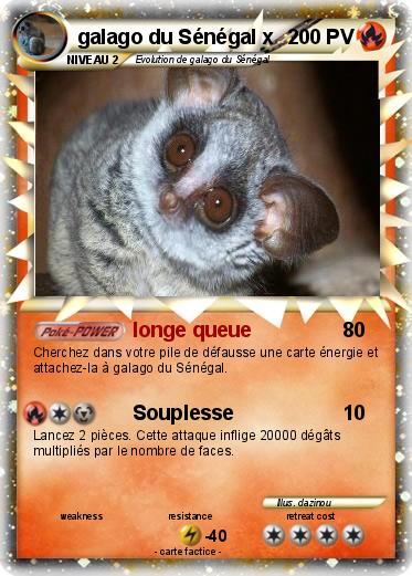 Pokemon galago du Sénégal x