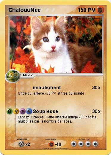 Pokemon ChatouuNee