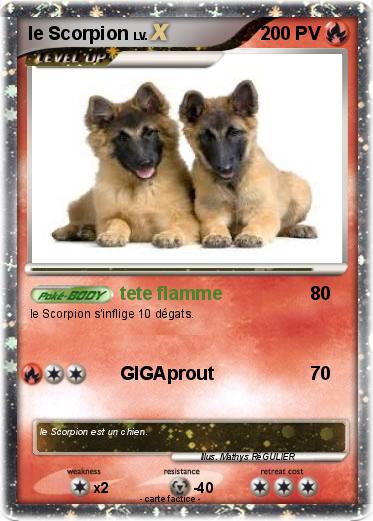 Pokemon le Scorpion