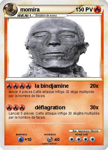 Pokemon momira