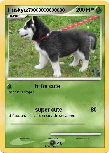 Pokemon husky