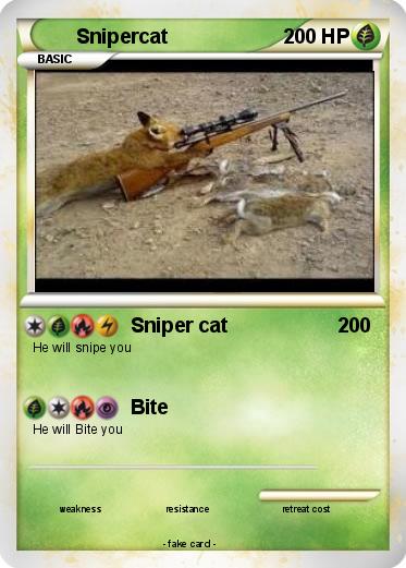 Pokemon Snipercat