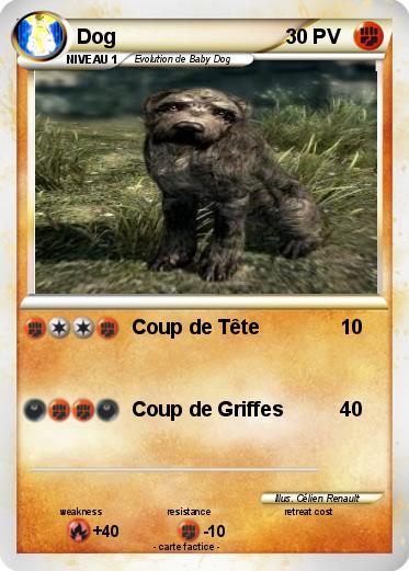 Pokemon Dog