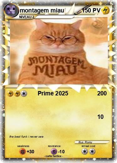 Pokemon montagem miau