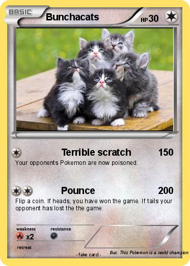Pokemon Bunchacats