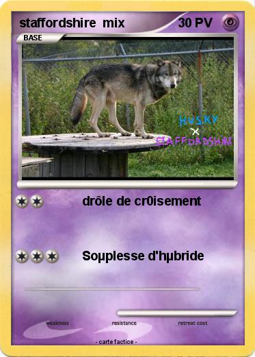Pokemon staffordshire  mix