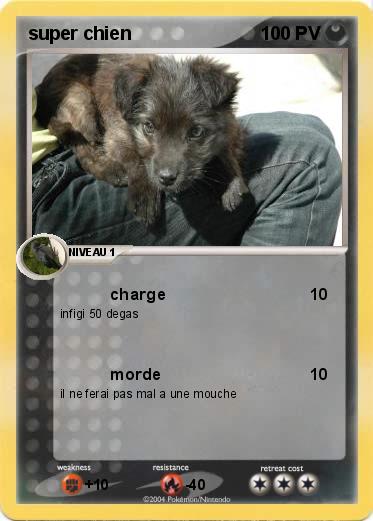 Pokemon super chien