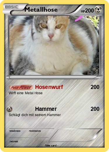 Pokemon Metallhose