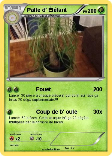 Pokemon Patte d' Éléfant