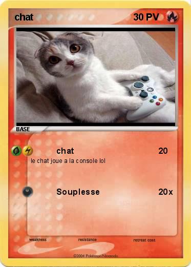 Pokemon chat 