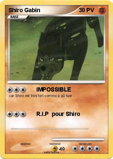 Pokemon Shiro Gabin