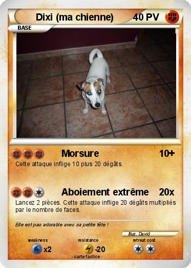 Pokemon Dixi (ma chienne)
