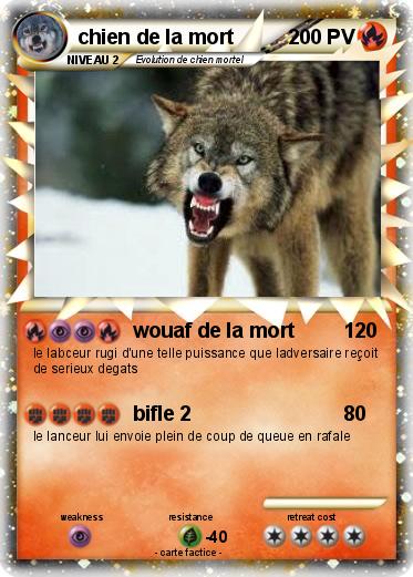 Pokemon chien de la mort