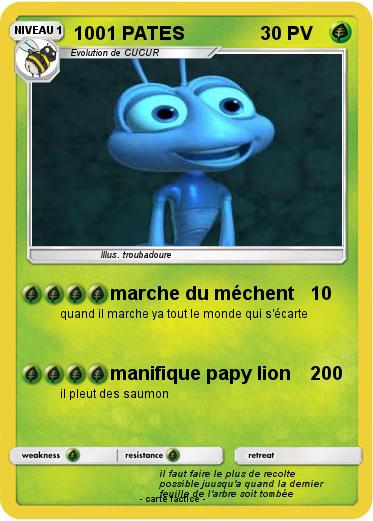 Pokemon 1001 PATES