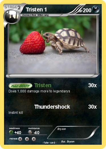Pokemon Tristen 1