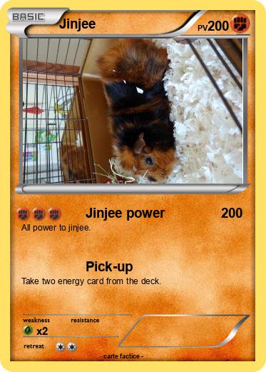 Pokemon Jinjee