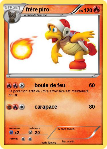 Pokemon frère piro
