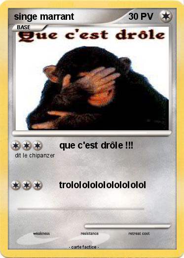 Pokemon singe marrant