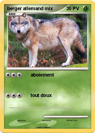 Pokemon berger allemand mix