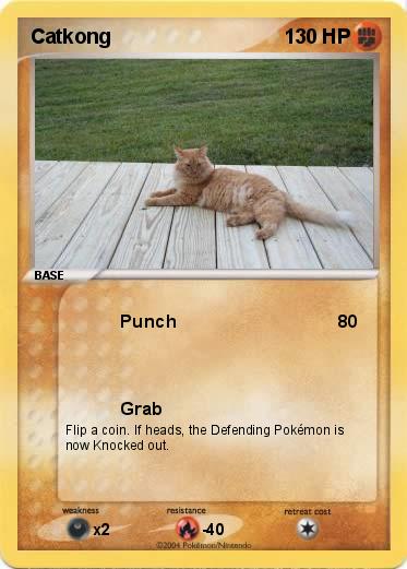 Pokemon Catkong