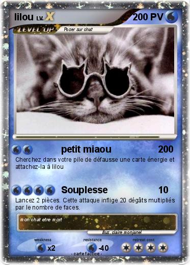 Pokemon lilou