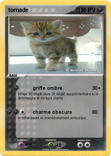 Pokemon tornade