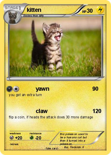 Pokemon kitten