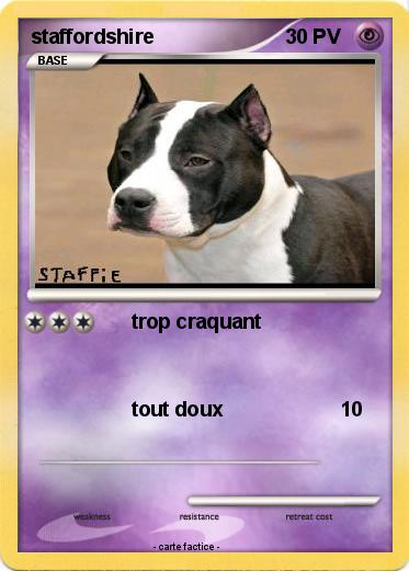 Pokemon staffordshire