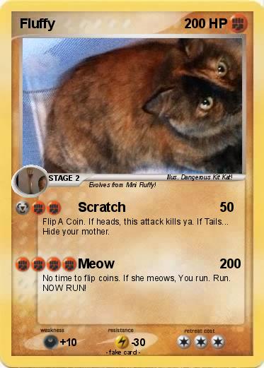Pokemon Fluffy