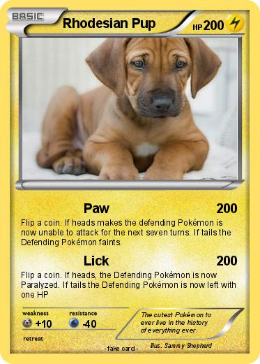 Pokemon Rhodesian Pup