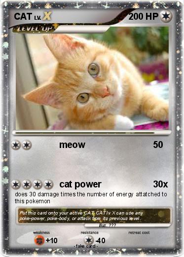 Pokemon CAT
