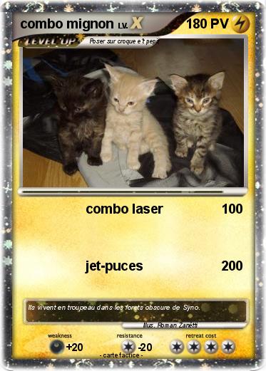 Pokemon combo mignon