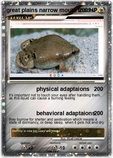 Pokemon great plains narrow mouth toad