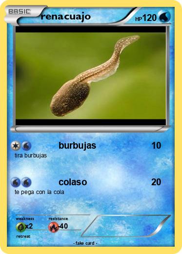 Pokemon renacuajo