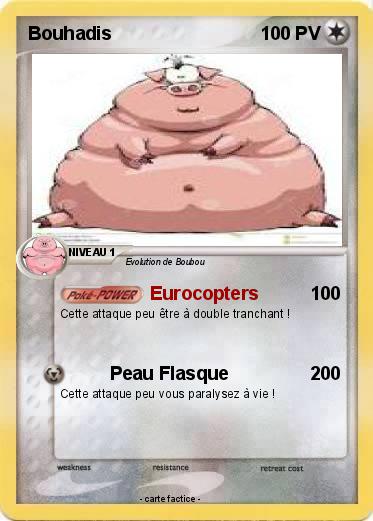 Pokemon Bouhadis