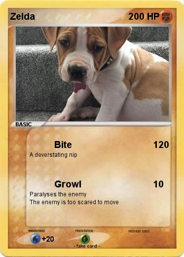 Pokemon Zelda