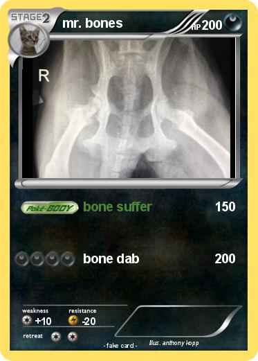Pokemon mr. bones