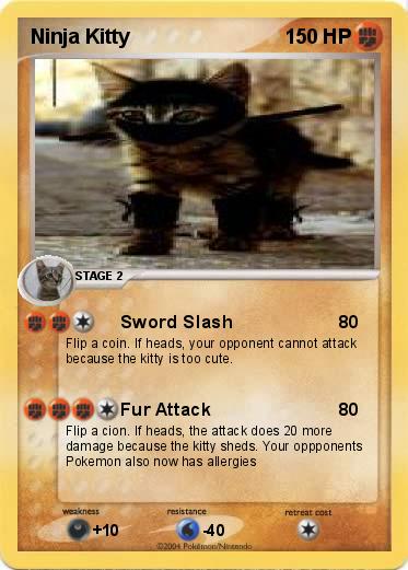 Pokemon Ninja Kitty