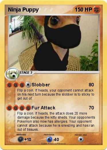 Pokemon Ninja Puppy