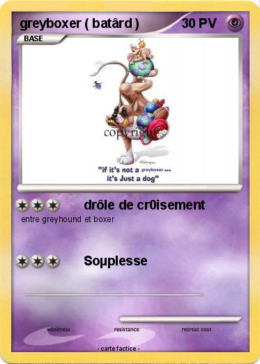 Pokemon greyboxer ( batârd )