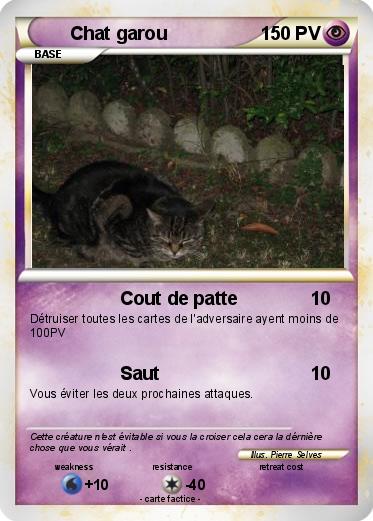 Pokemon Chat garou