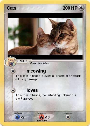 Pokemon Cats