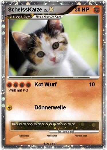 Pokemon ScheissKatze