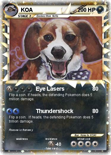 Pokemon KOA