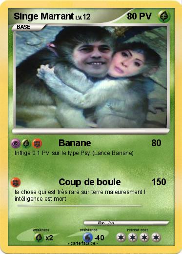 Pokemon Singe Marrant