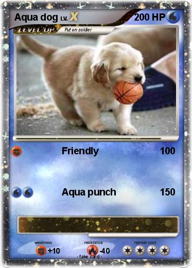 Pokemon Aqua dog