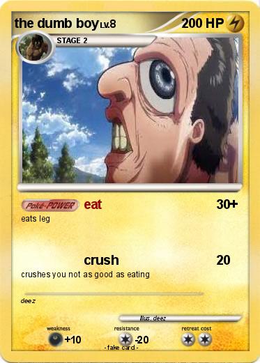 Pokemon the dumb boy