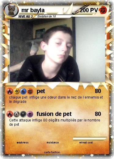 Pokemon mr bayla