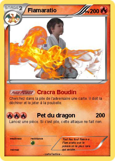 Pokemon Flamaratio