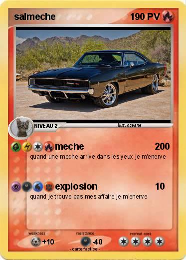 Pokemon salmeche